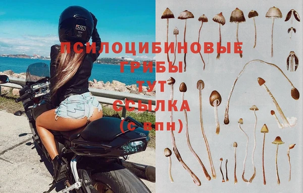 дистиллят марихуана Богданович