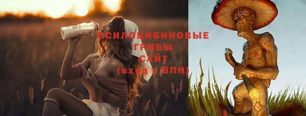 тгк Богородск