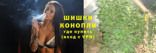 прущая мука Богородицк