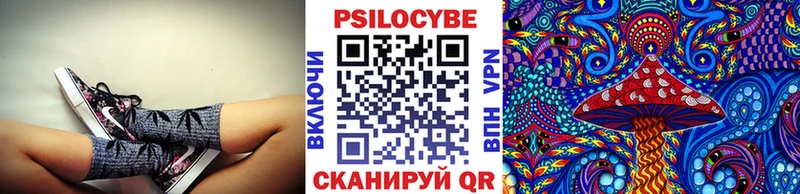 закладка  Михайлов  Псилоцибиновые грибы Psilocybe 